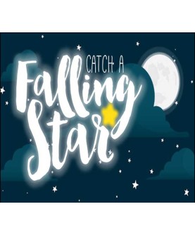 Catch a Falling Star Steam Key GLOBAL